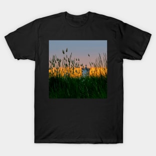 KERMORVAN HERBS T-Shirt